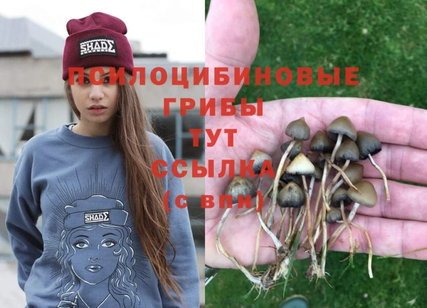 ALPHA PVP Алзамай