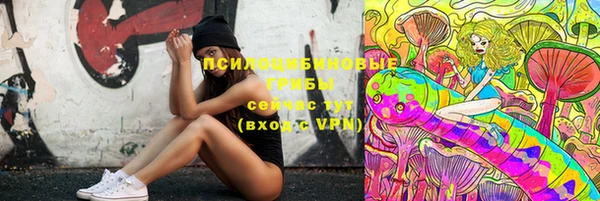 хмурый Алексеевка